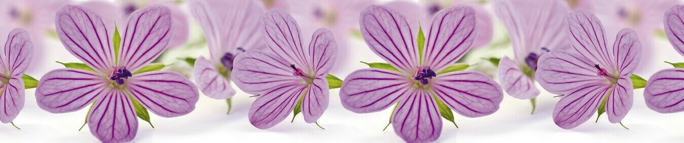 Фартук стеновой кухонный из ПВХ Фиолетовые цветочки